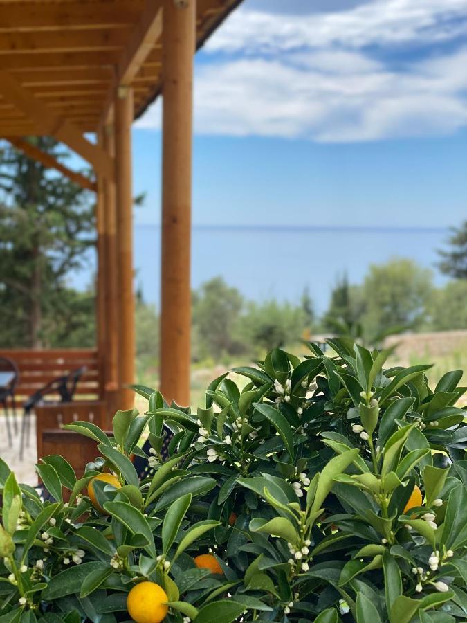 Summer Wine Boutique Apartamento Dhërmi